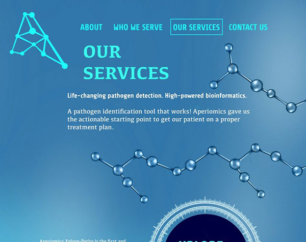 Our Services